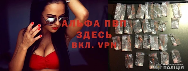 прущий лед Абаза