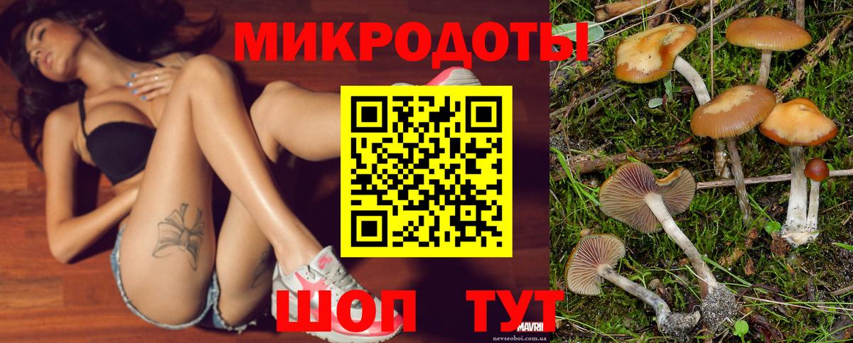 Галлюциногенные грибы мухоморы Черногорск