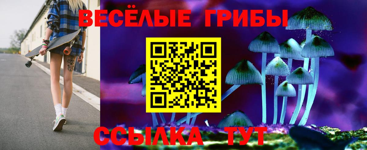 Галлюциногенные грибы мухоморы  Вход с VPN  Черногорск 